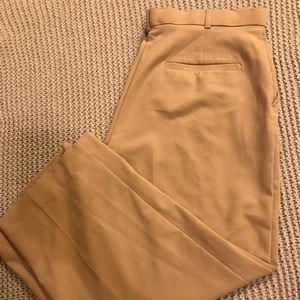 Counterparts beige dress capris